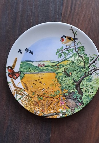 Wedgwood the village - in,