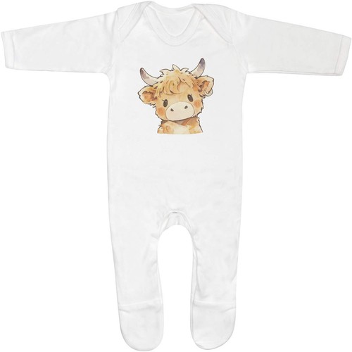 Cute highland cow baby - highland,