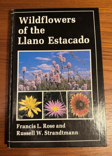 Wildflowers the llano - wildflowers,