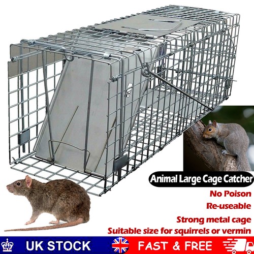 Squirrel trap heavy duty - squirrel,