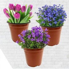 8X Plastic Plant Flower Pots