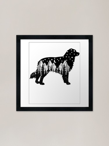 Australian shepherd dog - dog, lover