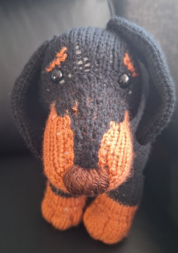 Dachshund sausage puppy dog - dachshund,