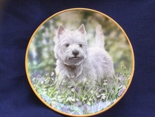 Danbury Mint Westies  “ The Bluebell Trail “ plate