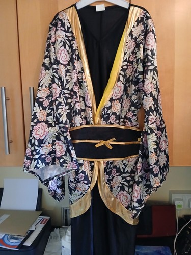 Geisha girl costume fancy - geisha,