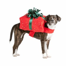 Merry & Bright Red And Green