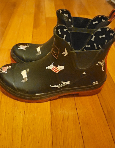 Joules wellibob women - joules,