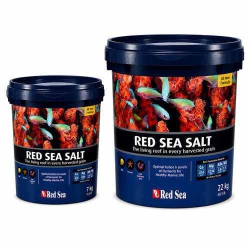 Red sea marine - red,