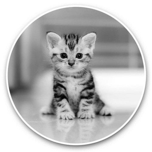 Vinyl stickers 5cm - vinyl, (bw)