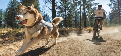 Ruffwear swamp cooler zip - swamp, zip™