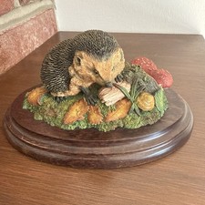 Country Artists Hedgehog