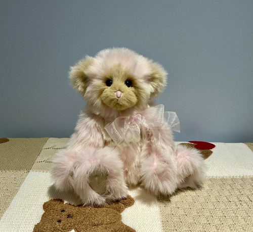Nwt charlie bears - charlie, retired