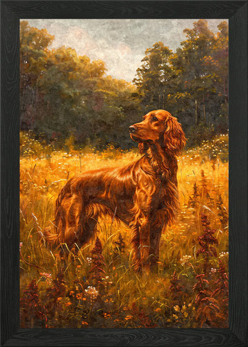 Vintage irish setter - vintage, dog
