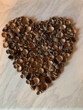 250 gram 5 to 25mm Acorn Cups