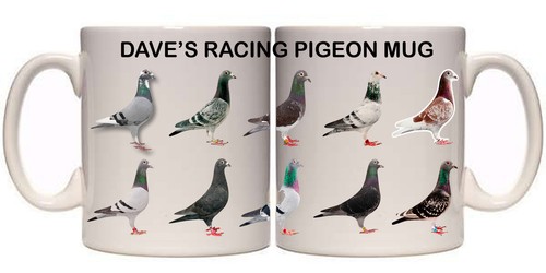Racing pigeon breeder - racing,