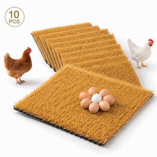 10washable chicken nesting - chicken,