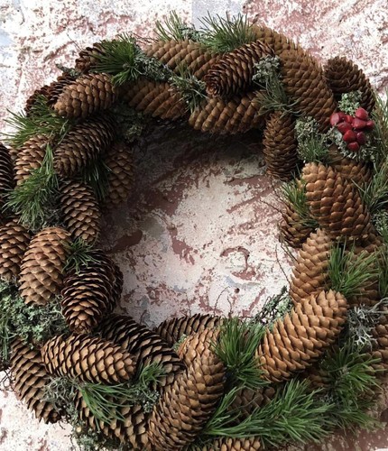Norway spruce long - 20,