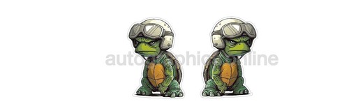 Turtle racer racing biker - turtle,