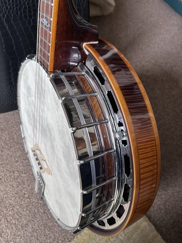 Ibanez tenor banjo - ibanez,