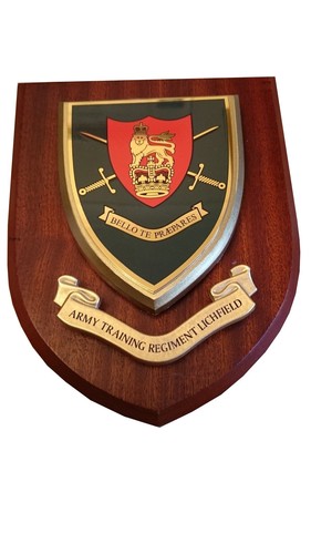 Army training lichfield - training,