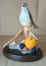 COUNTRY ARTISTS ,ISTLETHRUSH