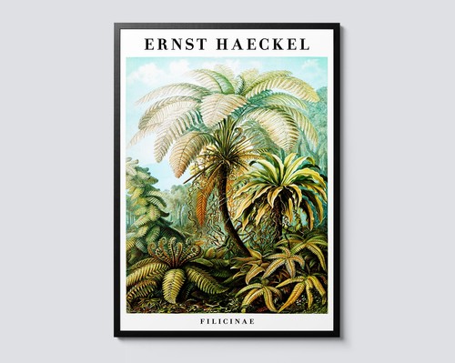 Vintage botanical jungle fern - vintage,