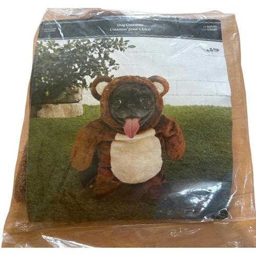 Asland teddy bear dog - asland, costume
