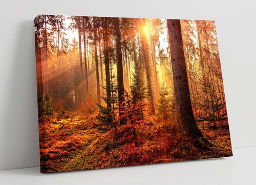 Autumn woods canvas wall - canvas, art