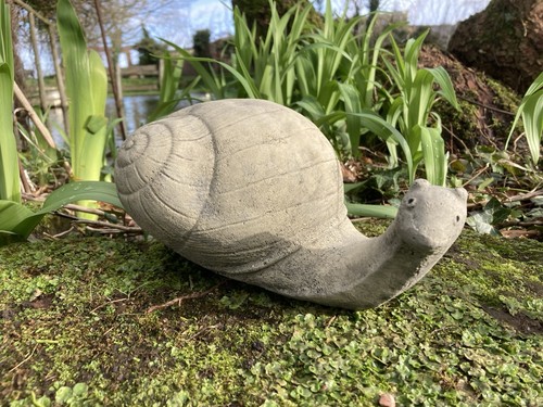 Stone garden snail - snail,