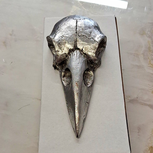 Silver tone raven skull - tone,