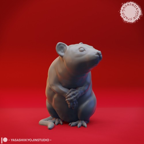 Rat 32 54mm - rat,