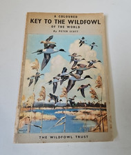 Peter Scott - Coloured Key To The Wildfowl Of The World - Wildfowl Trust 1965