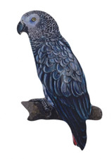 African grey parrot - parrot, plaque