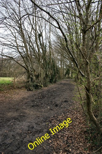 Photo 6x4 one clock lane - photo, o'clock