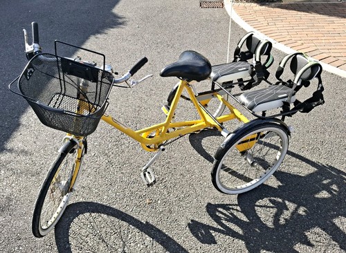 Yellow pashley adult - yellow, tricycle