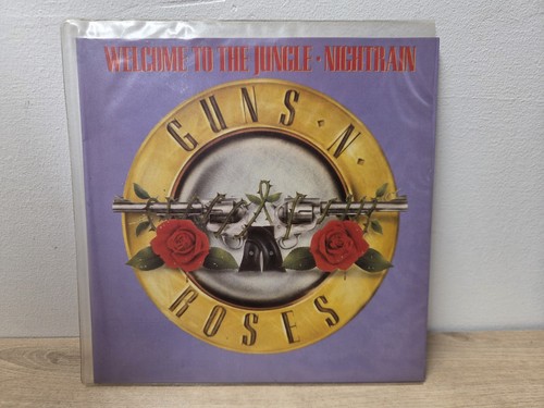 Guns roses welcome to - guns,