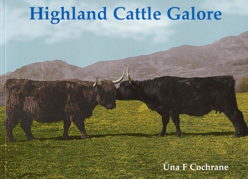 Highland cattle galore - highland,