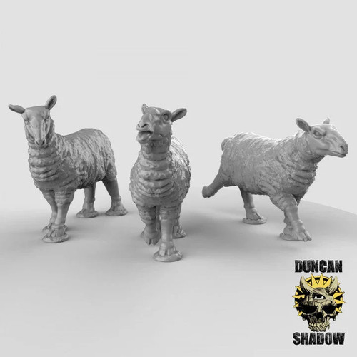 Sheep miniature - sheep,