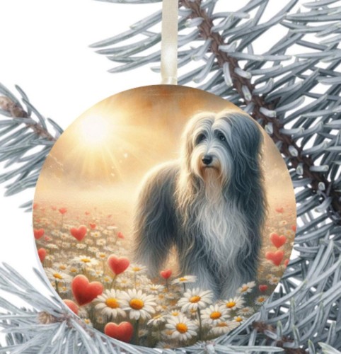 Bearded collie dog hanging - collie,