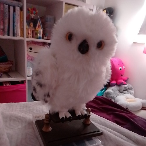 Harry potter enchanting - potter,,