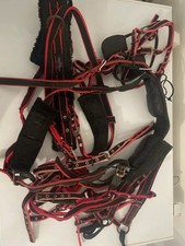 Pony Nylon Driving Harness No Reins Good Condition Rust On Buckles