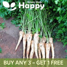 PARSLEY ROOT Osbourne - 400