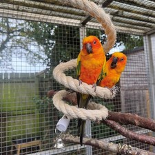 Parrot Boing Sisal Spiral