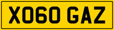 X GO GAZ 😎GARY GARRY