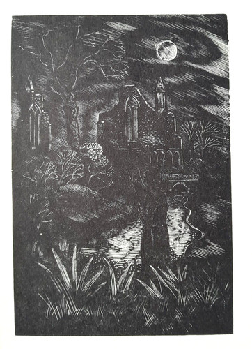 Lindley night fishing abbey - lindley,
