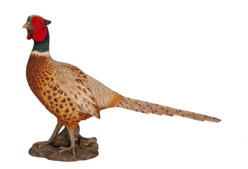 Vivid arts pheasant - arts,