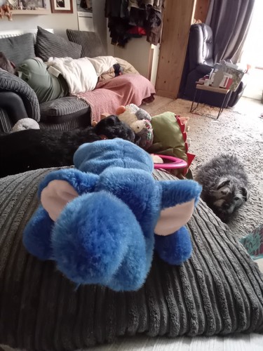 Beanie buddies peanut the - ty,