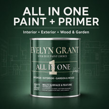 Evelyn Grant All-IN-ONE Paint