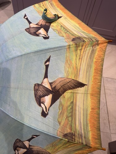 Nuage geese vintage umbrella - geese,
