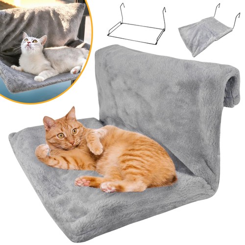 Cat radiator bed - radiator,